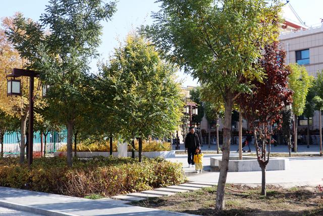 组图丨凉州十七巷 秋色入画来