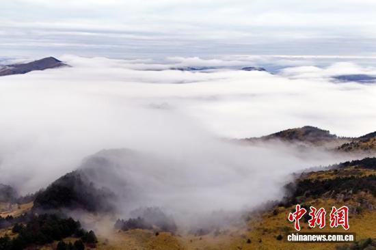 “华中屋脊”神农架雨歇云海生