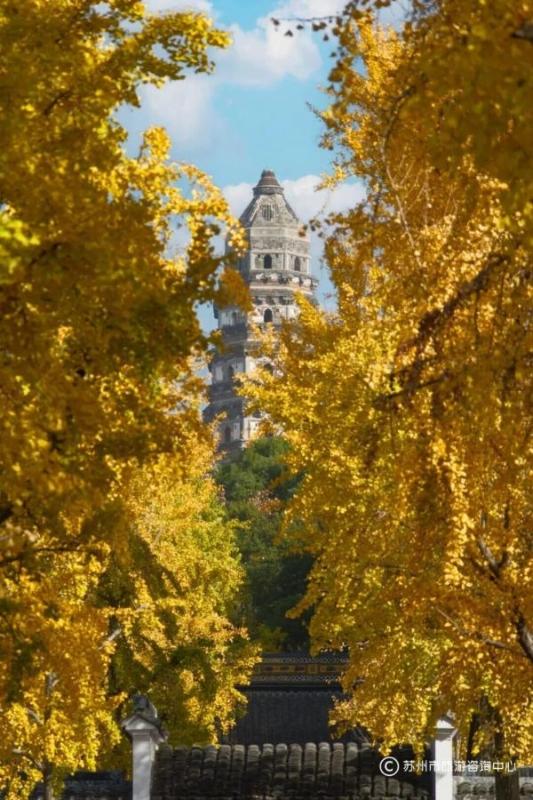 火上央视！苏州变身“黄金州”