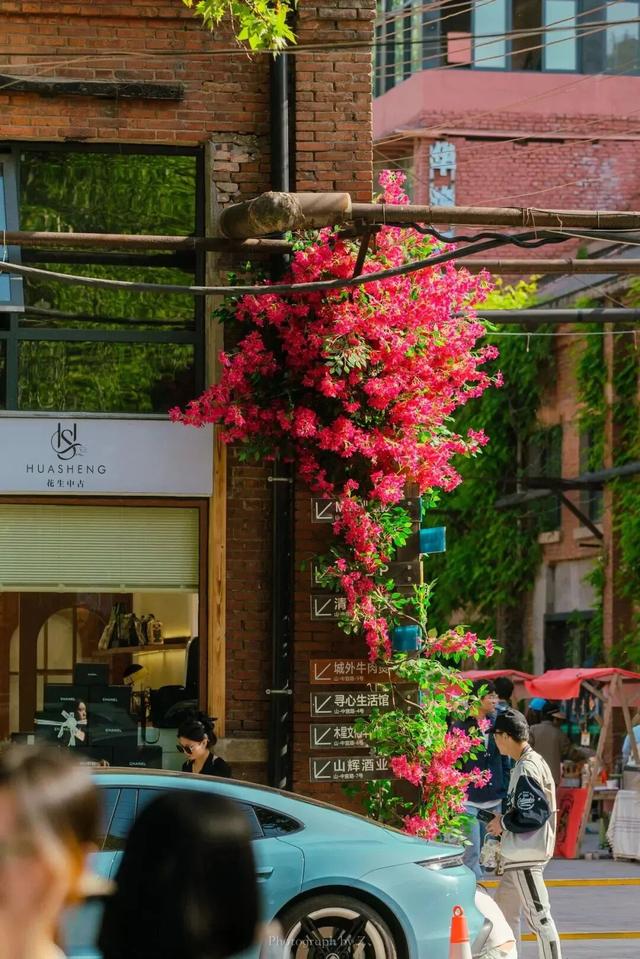 倒计时两天！来老家河南花样跨年→