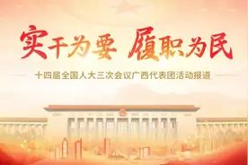 壮绣非遗闪亮“上会”！记者：再给我一个提问的机会图片