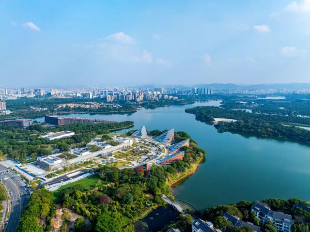 最接近产地！这些松山湖“特产”卖进景区、商圈→