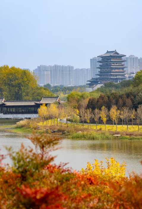 郑州这个“网红”公园的秋色绝了！附公交、地铁路线→