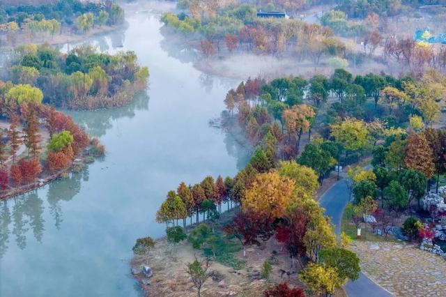 南通这里又要火了！每天清晨，不少人赶去打卡
