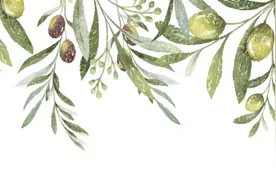 招商银行上海分行“敬老月”活动正式启动图片