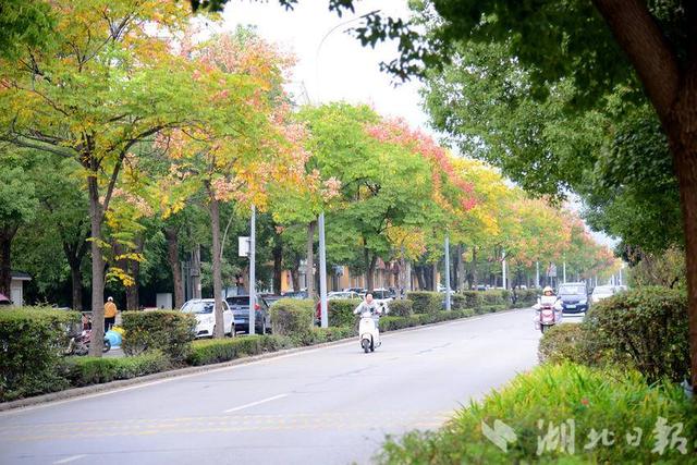 行走京山丨霞光薄雾映照斑斓城景