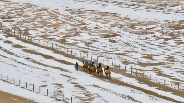 自然观察 | 鸣沙山月牙泉迎来初雪！沙与雪的秘境私语，美到心醉