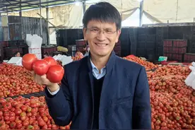 科普达人丨李宝聚：保卫菜，保卫吃菜的人图片
