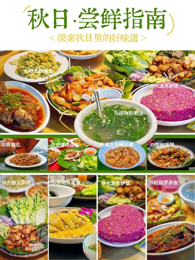 是时候回村了！来南宁共享田园慢生活，共赏万亩灯海