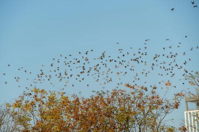 @0731，一组绿心秋色卡，请查收！
