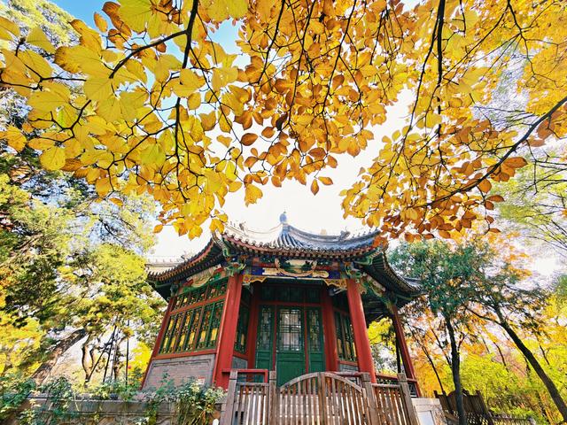 半城古典，半城浪漫！一叶知秋，一框载古今