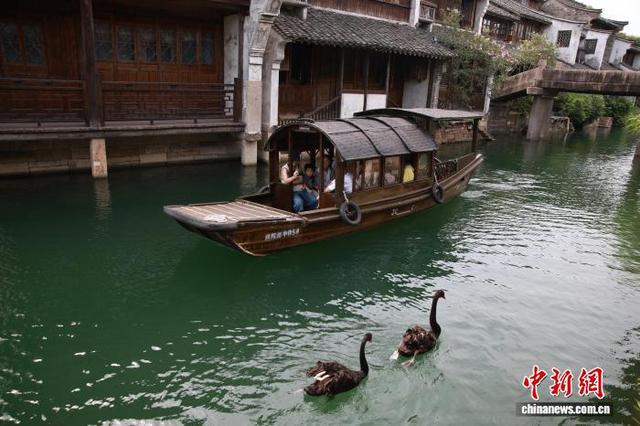 浙江濮院：古镇清凉体验丰富夏日旅游
