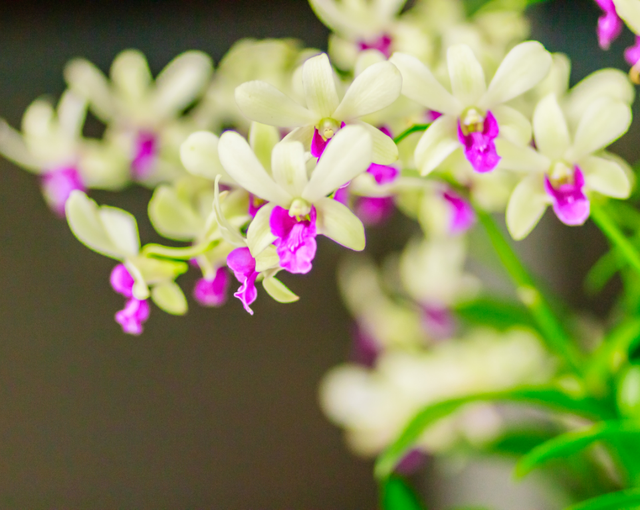 周末就来青白江！又研学又度假，安排！