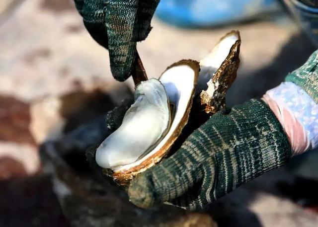 新华社携手董宇辉，走进广西的蔚蓝海岸……