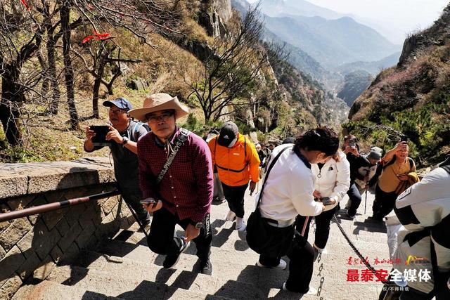 重阳登泰山 敬老暖意浓