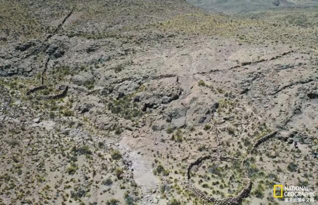 古埃及人基因测序完成、二战沉船重现天日......2025年考古界都有哪些重磅发现？