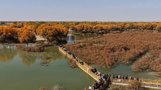 新疆洛浦：超31.5万人次 消费2520万元