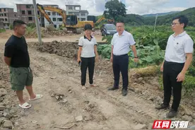临武人大：监督高标准农田建设促进农业增产增效图片