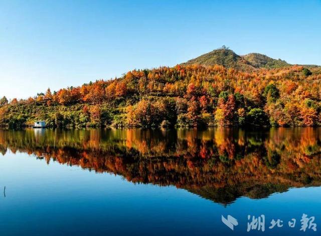 蕲春塔林的秋天，让人不愿离开