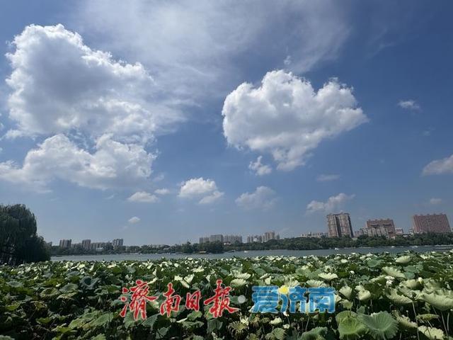 一年四季 泉在济南丨初秋大明湖：蓝天白云相映 画卷徐徐展开