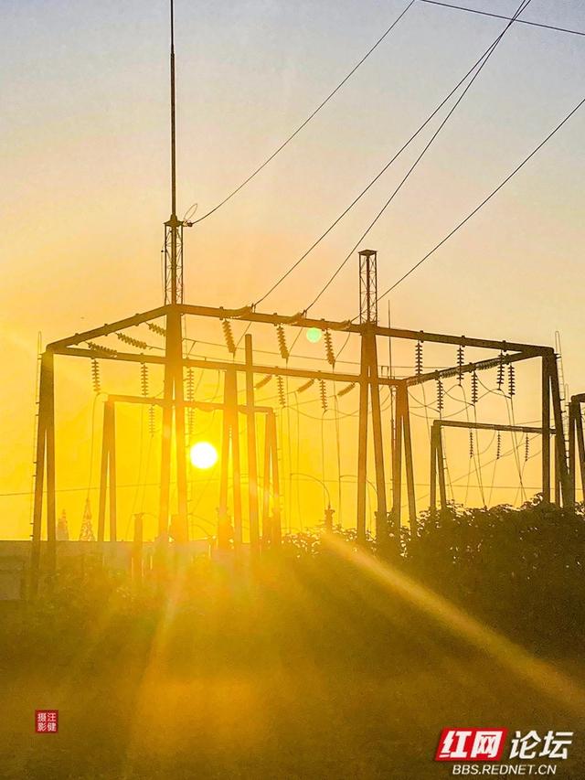 安乡深柳晨行记：踏在颜料上的初冬