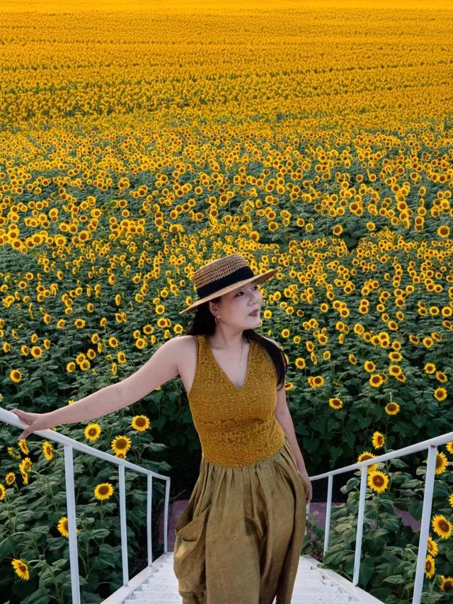 原来冬日里的江西，也会“花开成海”！