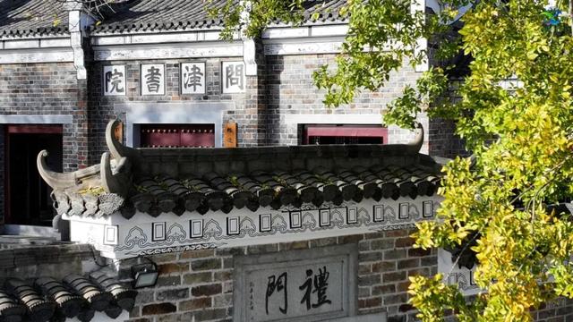 别去日本了！新洲的“同款”风景，美得更懂你