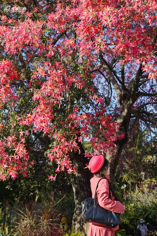 全城“粉”了！地铁直达→