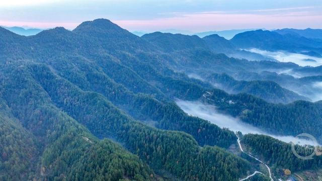 云雾为墨 这里的山色自带“滤镜”