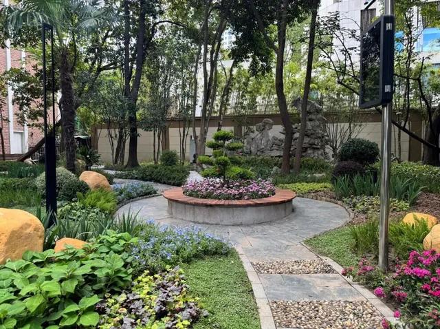 全市首个！静安这个商圈旁，竟藏着居民区里的“专业古树园”