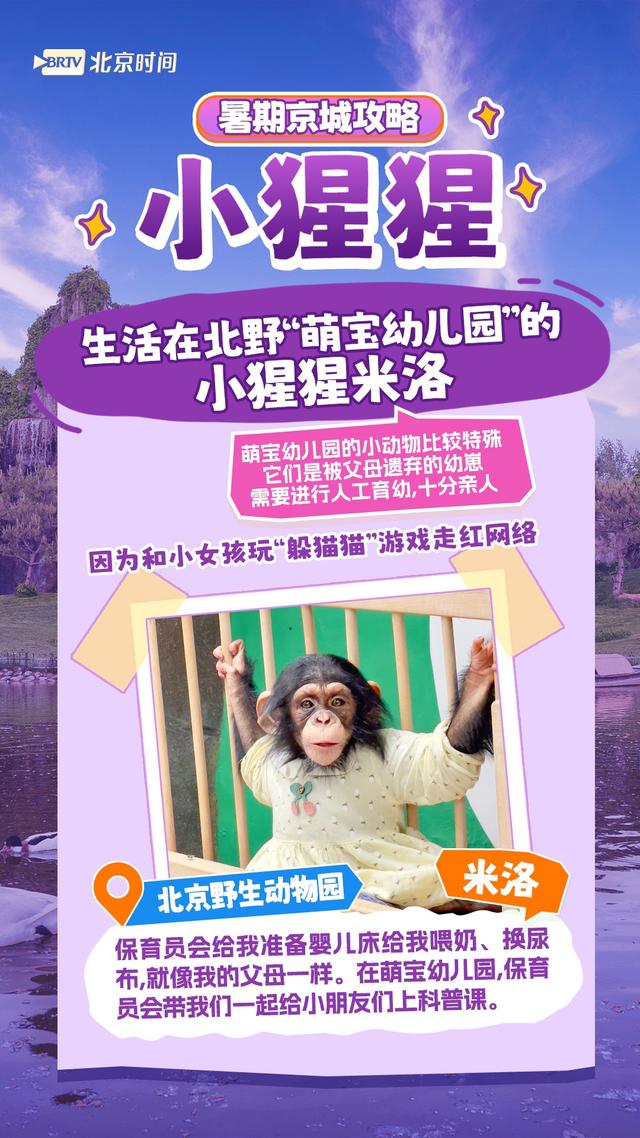 周末怎么过？和北京的“网红动物”一起过！