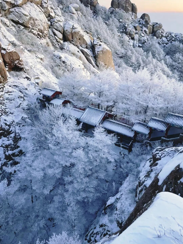 火上热搜！雪后崂山美到刷屏，市民游客排队打卡！