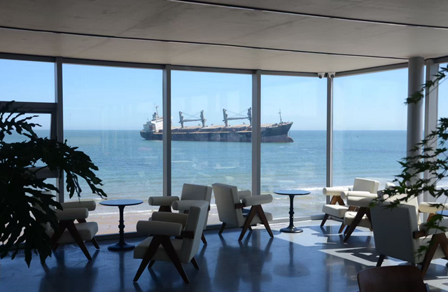 冬天！所有人都该来荣成见一见“永不失约”的布鲁威斯