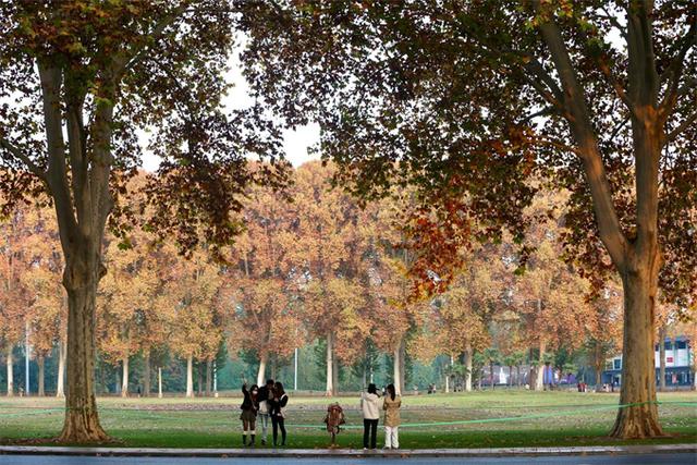 提前预约！郑州黄河迎宾馆初冬美景上线