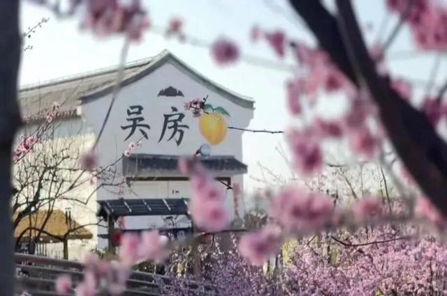MXGP观赛住哪？奉贤4条游玩路线+N家宝藏住宿，收藏这篇就够了！