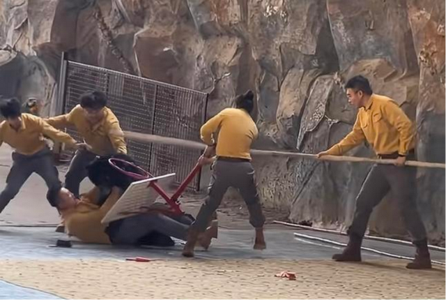 杭州野生动物世界致歉，取消黑熊表演