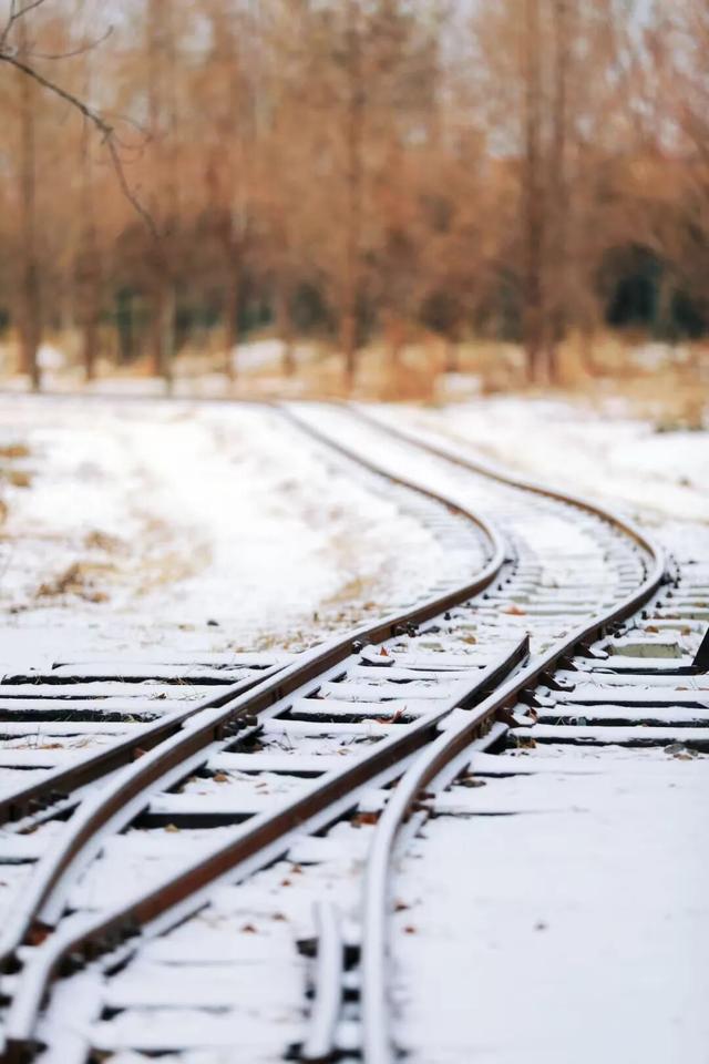 雪后的日照，美成水墨画！附最新闭园公告！