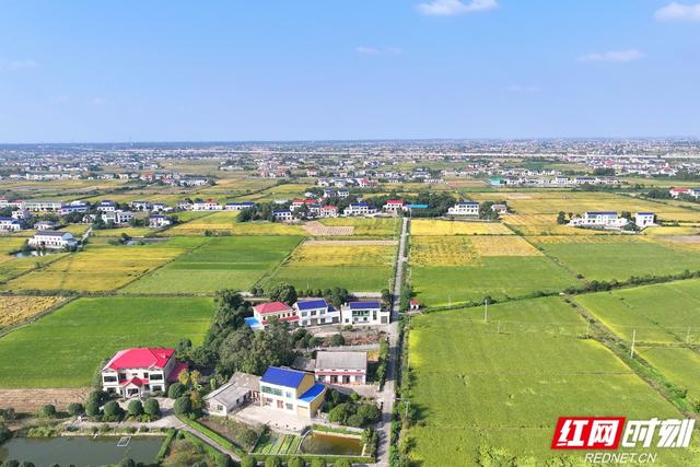 秋游时刻丨粮安天下，韵满双江——宁乡这个镇的乡村诗意太动人