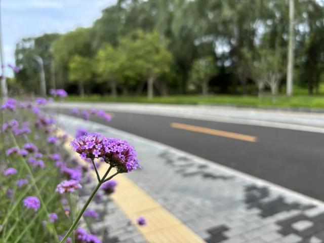 新增近三公里“城市画廊”，副中心首条多功能慢行道开放