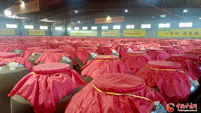 寻韵田园 共赏民乐｜从“葡萄美酒夜光杯”到4A景区 甘肃滨河酒城成民乐文旅新名片