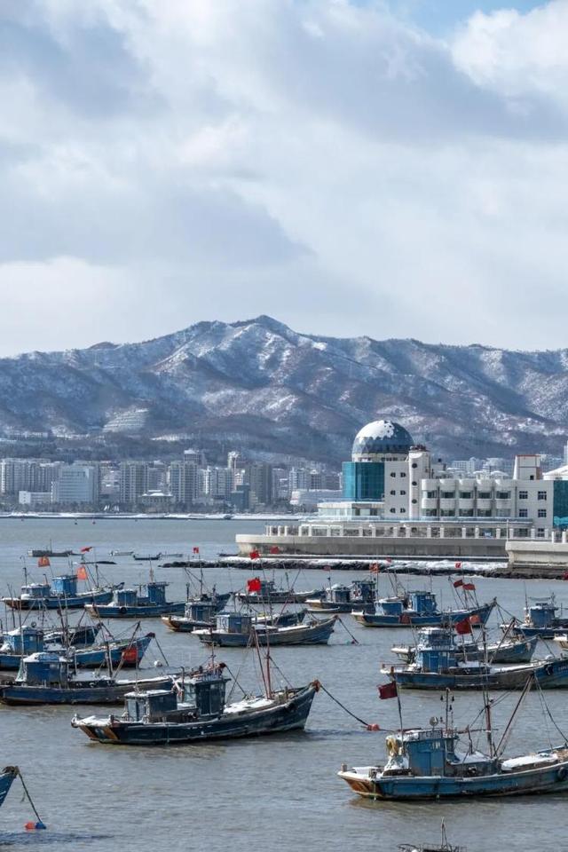 去什么北海道，冬日里的威海不是“平替”，是天花板！