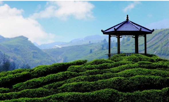 广州地区旅行社行业协会为贵州省黔南州贵定县推出精品旅游线路