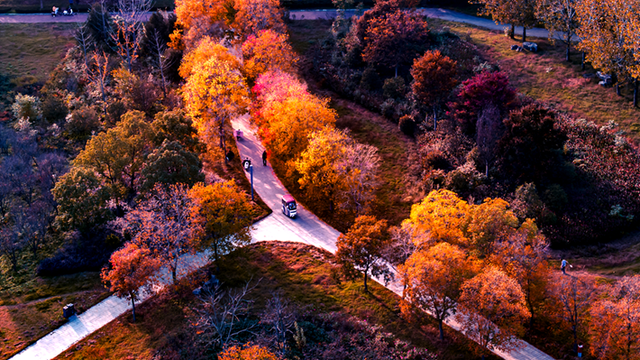 图说遂平：丹霞碧水缤纷色 层林尽染锦绣图