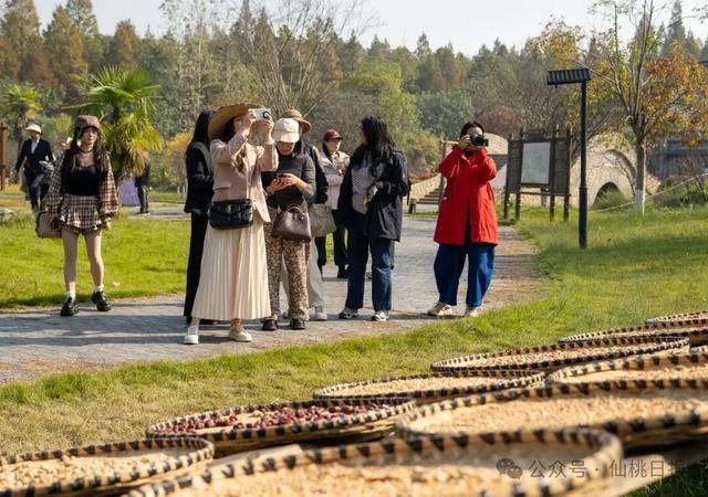 网络大V寻味仙桃，最赞叹的是→