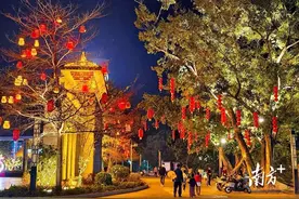 请到电白过大年｜这些乡镇文旅“遗珠”不能错过图片