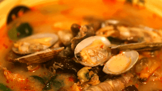 这个冬天，来海南，暖暖的！