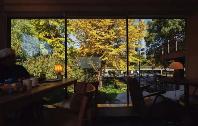 上海市中心又一公园拆除围墙！内藏明城墙和宝藏机位！怎么还有个“灶披间”？