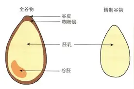 “养”出糖尿病6个习惯，很多人都爱做！逆转糖尿病做好5点图片