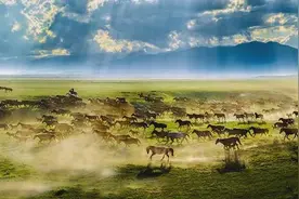 团结盛会 “马上”精彩  系列报道之五｜牧歌昭苏 产业融合谋发展图片