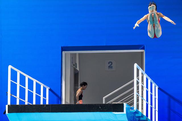 全运会丨跳水——女子10米跳台半决赛赛况